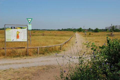 alter_flugplatz_stadt_karlsruhe_monika_mueller-gmelin.jpg