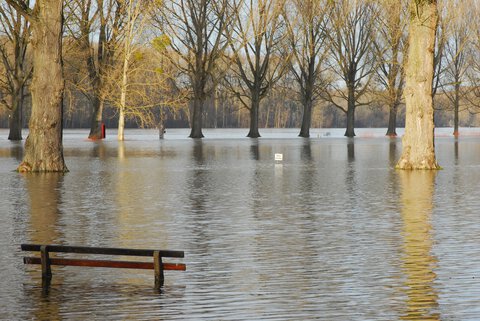 flusshochwasser_stadt_karlsruhe_monika_mueller-gmelin.jpg