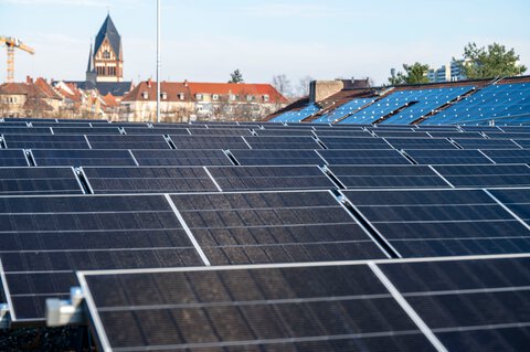 pv_anlage_stadt_karlsruhe_pia_paula_liebig.jpg