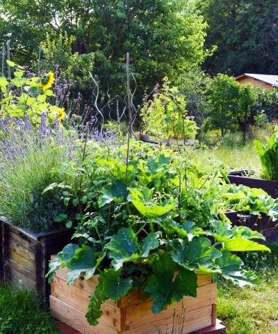 urban_gardening_sonnengarten_mueller-gmelin_1.jpg